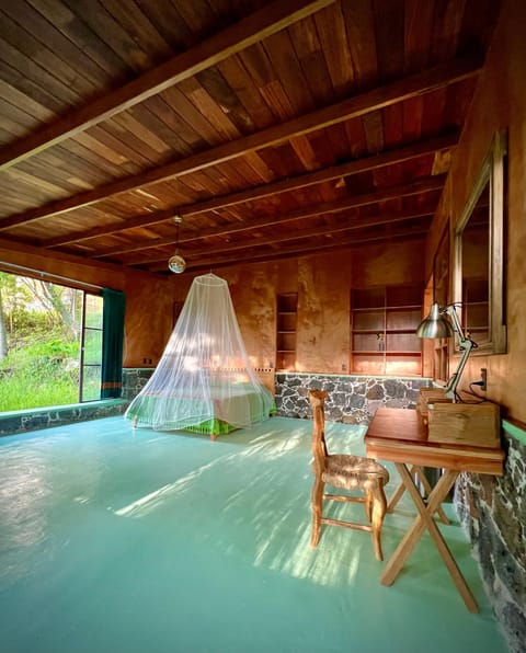 Photo of the whole room, Decorative detail, Garden view, hair dresser