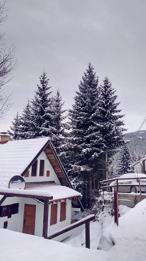 Sky 3 Apartment in Serbia