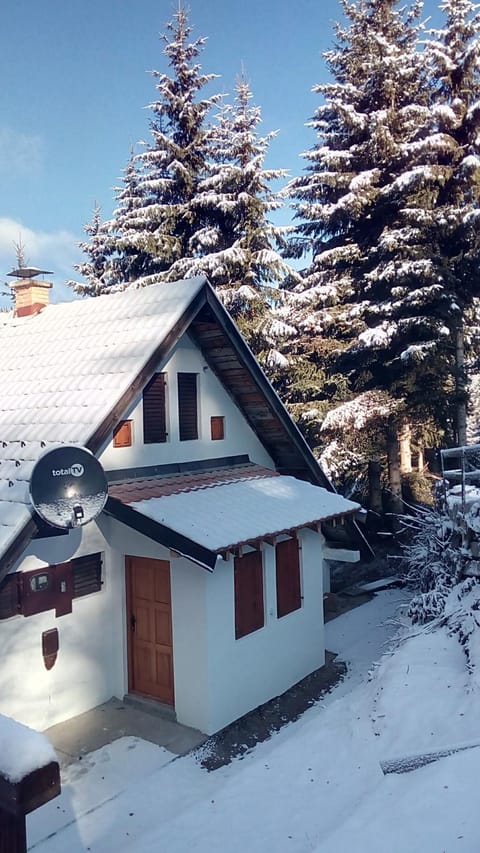 Sky 3 Apartment in Serbia