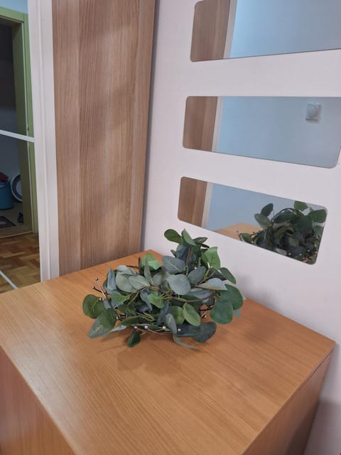 Vila Košuta - Kopaonik, Brzeće 30m from gondola Apartment in Serbia