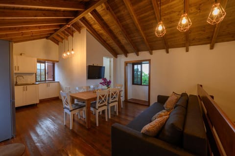 Day, Kitchen or kitchenette, Living room, Dining area