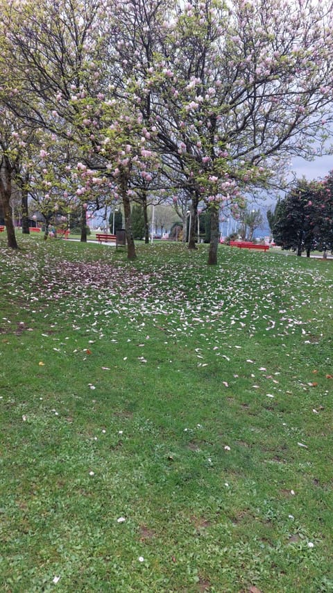Alojamiento Brisa Marina Apartment in O Salnés