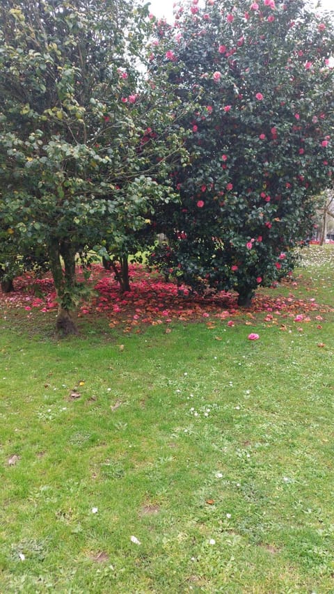 Alojamiento Brisa Marina Apartment in O Salnés