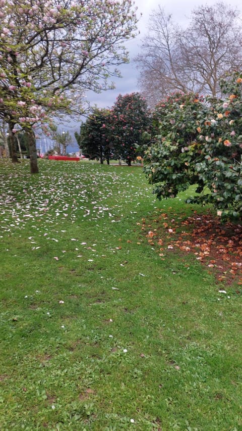 Alojamiento Brisa Marina Apartment in O Salnés