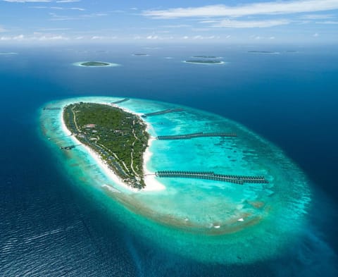 Bird's eye view, Beach, Sea view