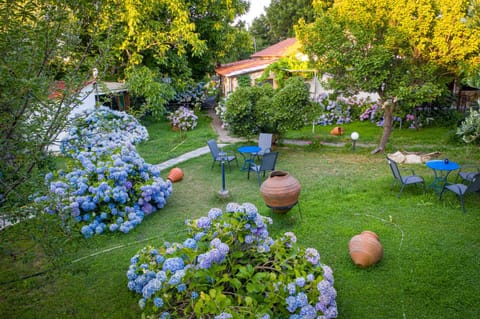 Spring, Garden, Garden view