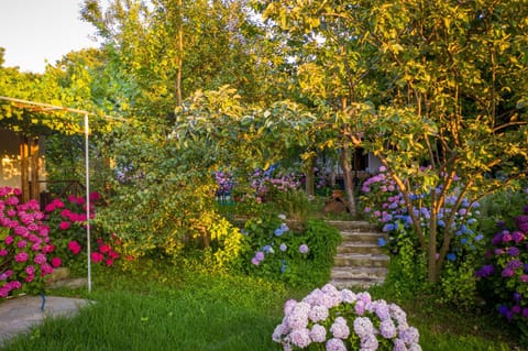 Spring, Day, Garden, Garden view