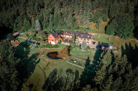 Hôtel Restaurant Domaine De Basil Hotel in Orbey