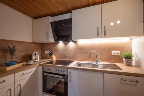 Kitchen or kitchenette, oven, stove