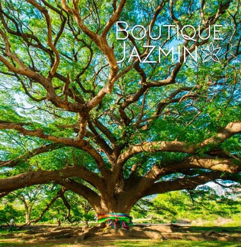 Boutique Jazmin Apartment in Alicante