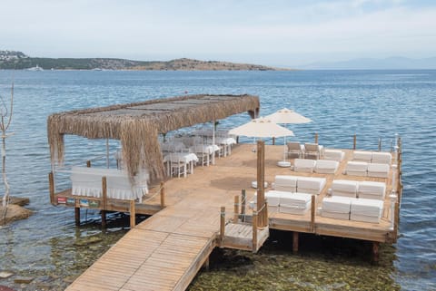 Beach, Sea view