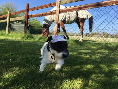 The Final Furlong, Bruton Apartment in Bruton