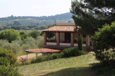 Property building, Garden, Garden view