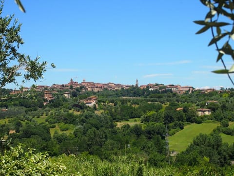 Nell'Antica Torre di Fronte a Siena Apartment in Siena