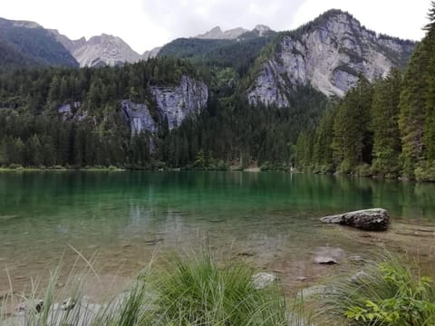 Natural landscape, Fishing, Hiking, Cycling, On site