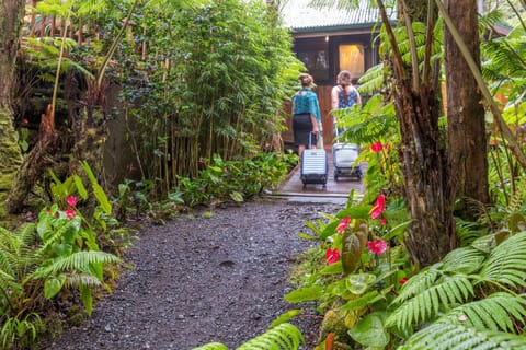 Natural landscape, Garden view