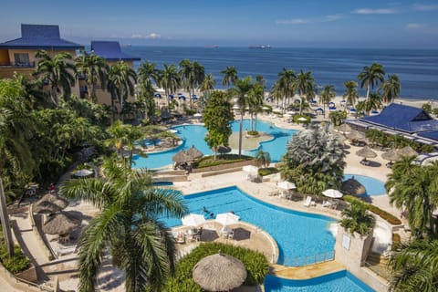 Bird's eye view, Beach, Swimming pool
