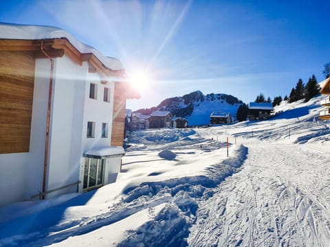 Property building, Natural landscape, Winter