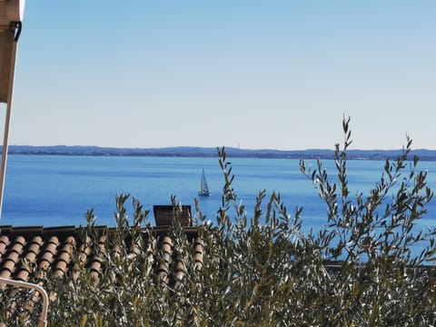 Day, Natural landscape, Lake view