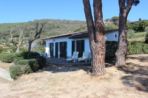 APPARTAMENTI ZUCCALE - A 200 mt dalla spiaggia Apartment in Capoliveri