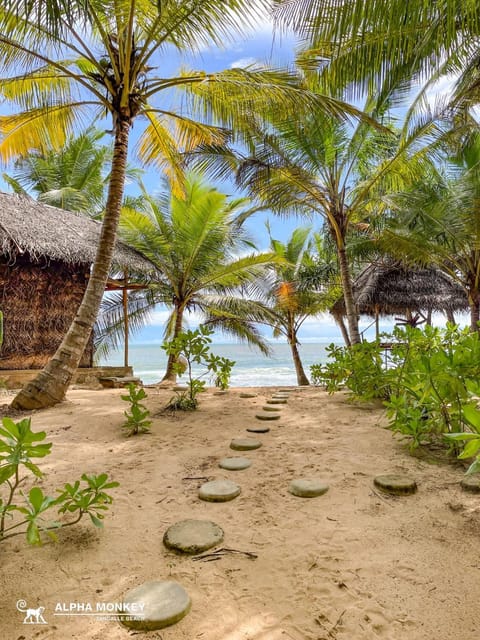 Beach, Sea view