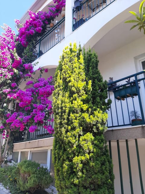 Patio, Facade/entrance