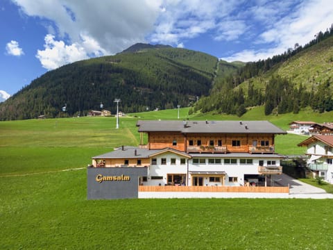 Gamsalm Apartment hotel in Salzburgerland