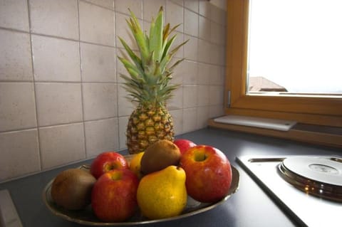 Unterbi Apartments House in Trentino-South Tyrol