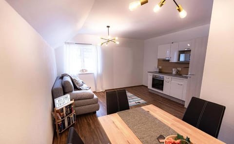 Kitchen or kitchenette, Living room, Seating area, Dining area, stove