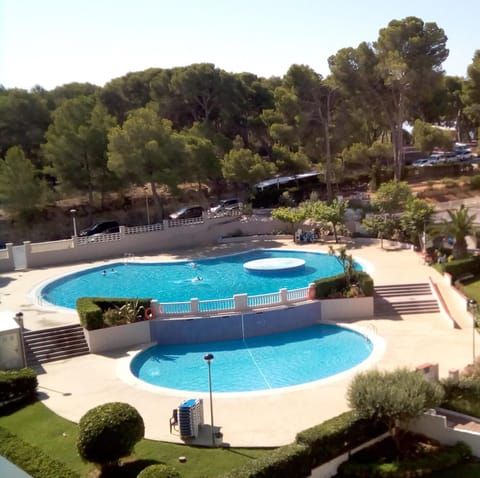 Day, Garden, Swimming pool