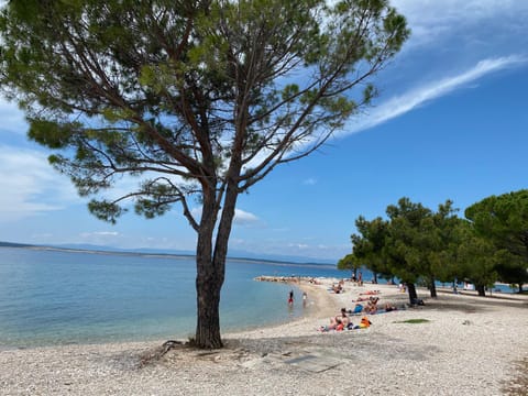 Day, Beach, Sea view, group of guests