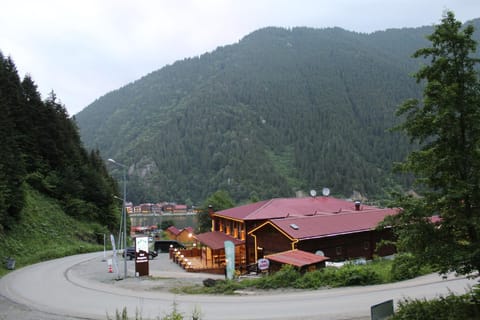 Natural landscape, Lake view
