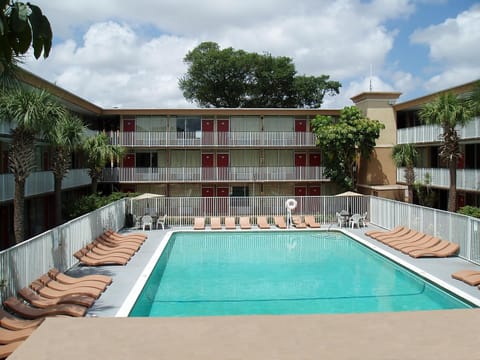 Swimming pool, Swimming pool