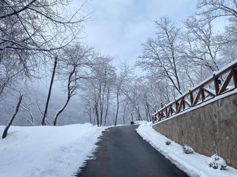 Kuca za odmor ,,Balkan” House in Serbia