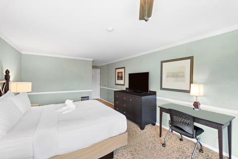 Bed, TV and multimedia