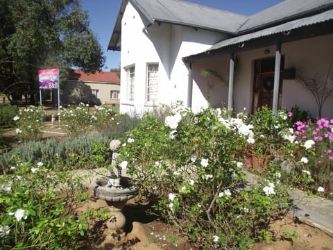 Property building, Spring, Day, Garden view