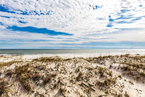 Hakuna Matata House in West Beach