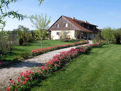 Property building, Spring