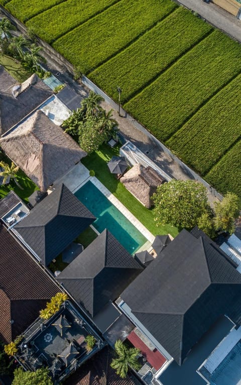 Property building, Neighbourhood, Bird's eye view, Street view, Swimming pool
