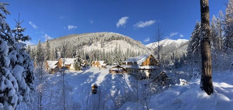 Winter, Mountain view
