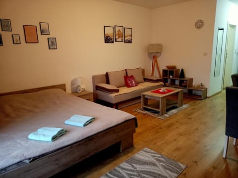 Anilux studio Apartment in Serbia