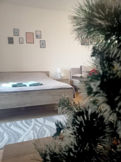 Anilux studio Apartment in Serbia