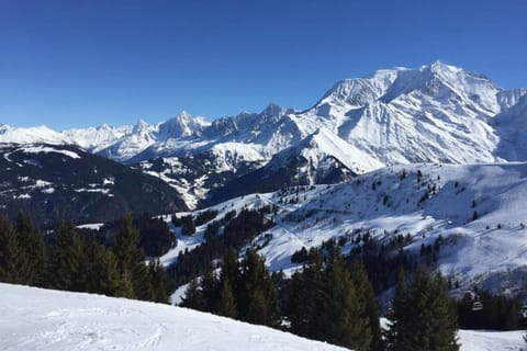 welcoming apartment with swimming pools near the Megève ski slopes Apartment in Combloux