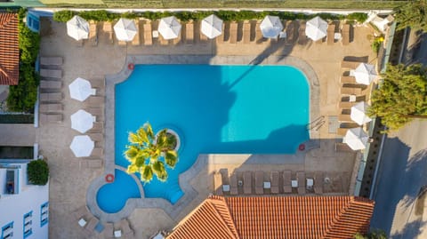 Bird's eye view, Pool view, Swimming pool