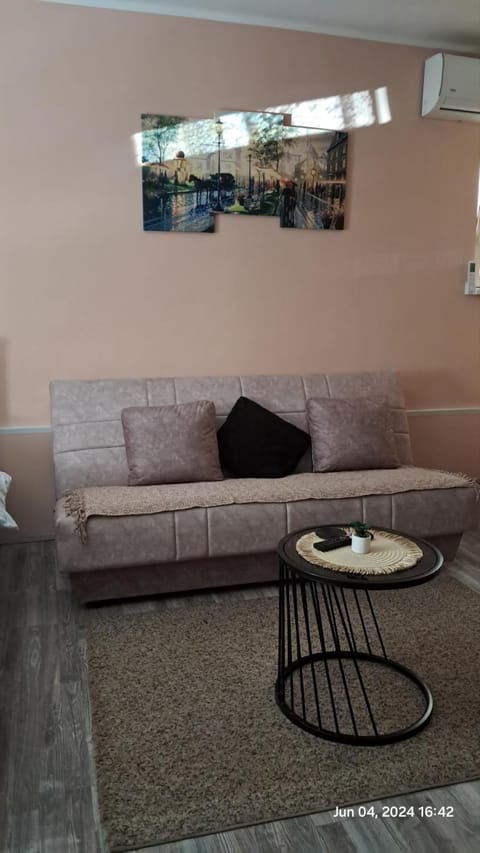 Apartman Iva Apartment in Serbia