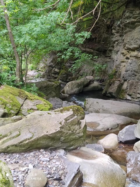 RIVAROLA House in Emilia-Romagna