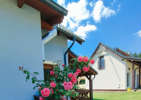 Property building, Garden view