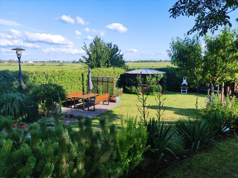 Natural landscape, Summer, Garden, Garden view