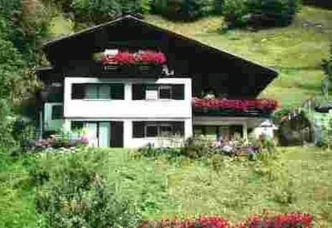 Property building, Summer