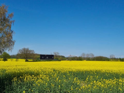 Ferienhaus Loimoos House in Schleswig-Holstein
